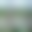 سوق العقارات في أبوظبي يسجل أسعارًا قياسية