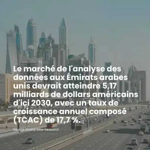 Our Market Research Expertise in Abu Dhabi